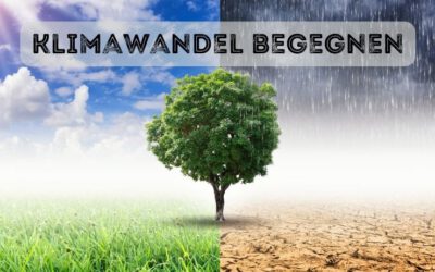 Klimawandel lokal begegnen