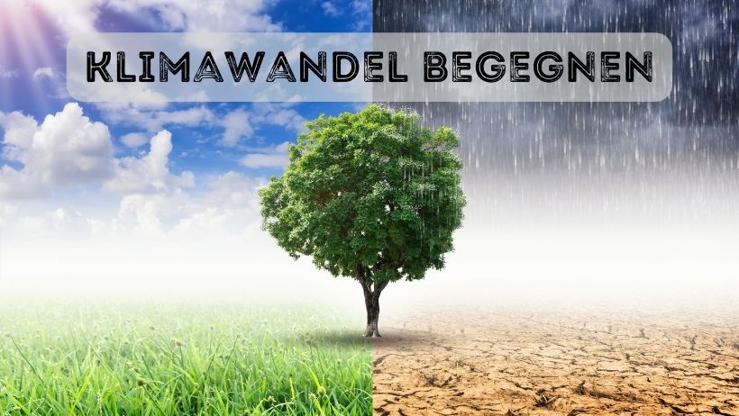 Klimawandel lokal begegnen