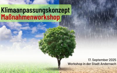 Klimaanpassungskonzept – Workshop